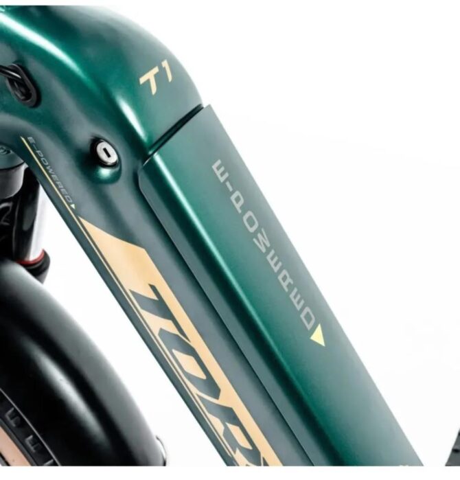 Torc T1F H Disk Elektrikli Katlanır Bisiklet Fat Bike Yeşil - Görsel 4