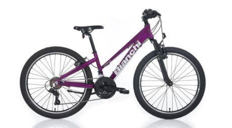 Bianchi XR24.3 V Fren 24 Jant Kız Çocuk Bisikleti Mürdüm