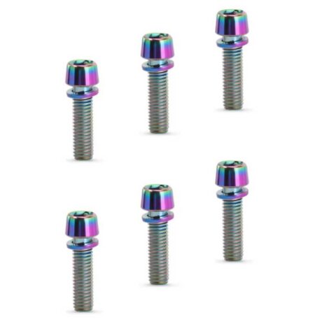 AYD Rainbow Oilslick Gidon Boğazı ve Kaliper Vidası 6 Lı M6x18